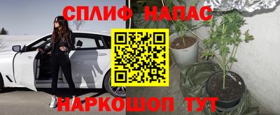 амф Донской