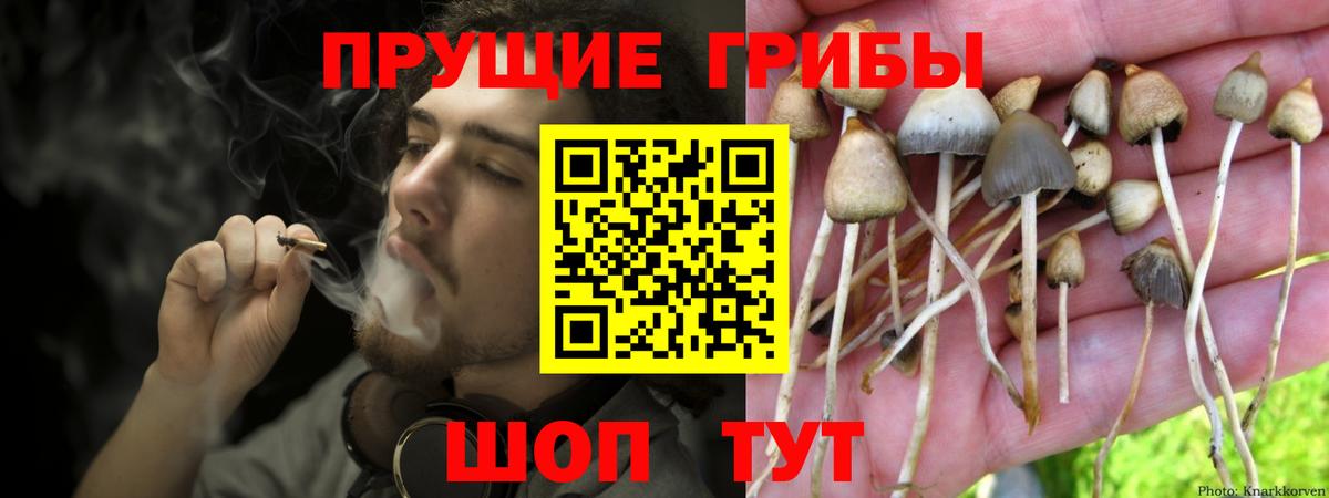 Ликино-Дулёво  Псилоцибиновые грибы MAGIC MUSHROOMS  Вход с VPN 